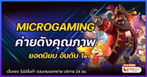 Microgaming-medi